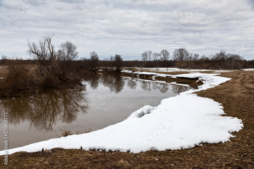 Obraz na płótnie Flooded trees and frozen water in the floodplain of the river at the thaws. w salonie