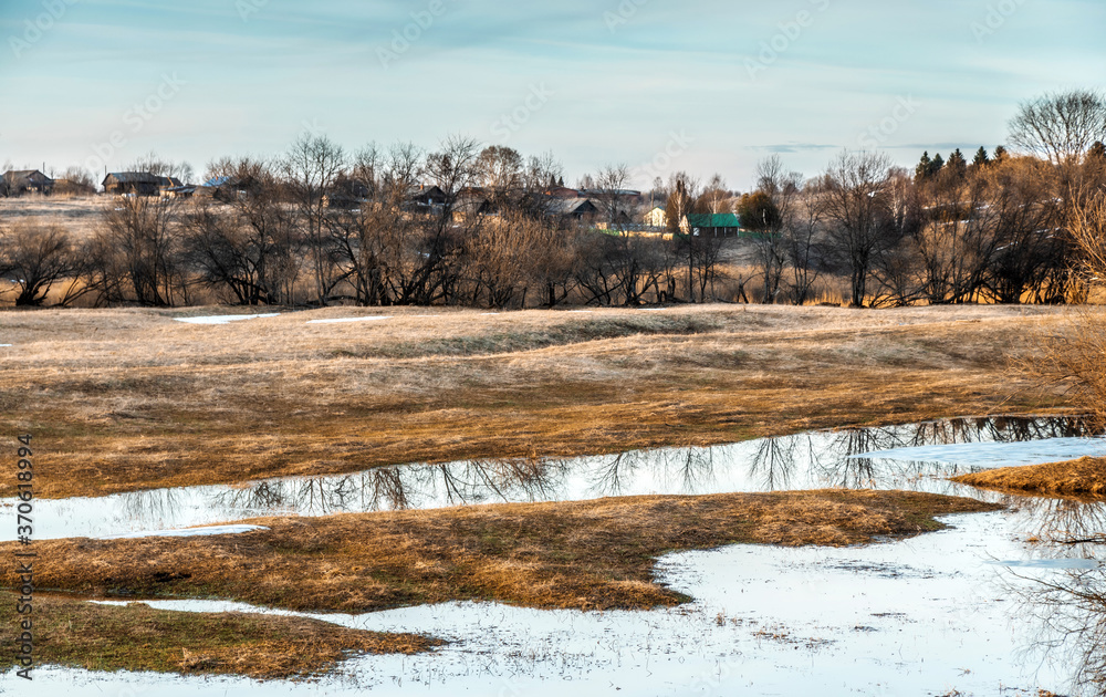 Flooded trees and frozen water in the floodplain of the river at the thaws.