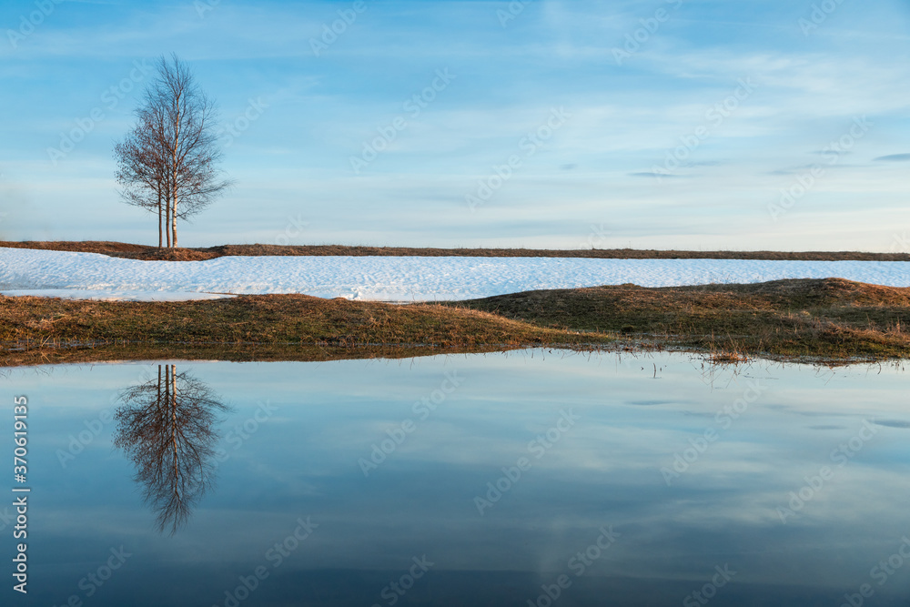 Flooded trees and frozen water in the floodplain of the river at the thaws. Flooded trees and frozen water in the floodplain of the river at the thaws.