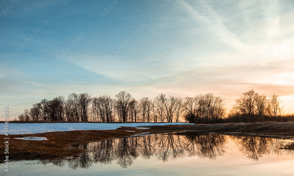 Flooded trees and frozen water in the floodplain of the river at the thaws.