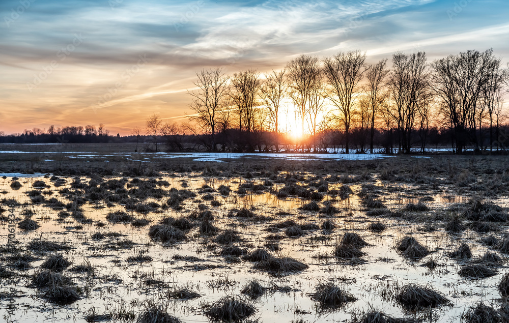 Flooded trees and frozen water in the floodplain of the river at the thaws.