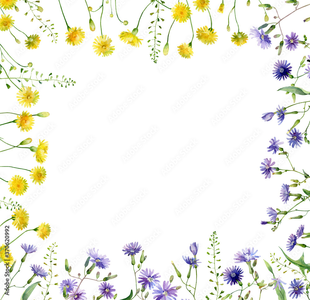 Watercolor frame of wild blue and yellow flowers on white background Watercolor frame of wild blue and yellow flowers on white background