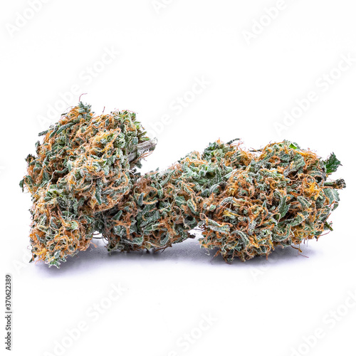 Cannabis Marijuana taken in white background