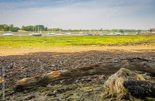 Bild auf Leinwand Tree trunk and rocks exposed on mudflats at low tide