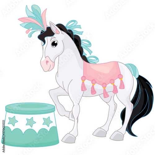 Circus performer horse