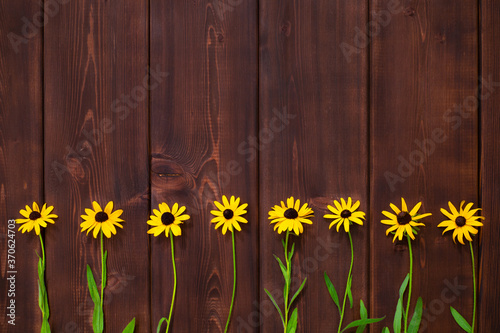 Yellow daisy (rudbeckia) flowers are on brown boards. Wood and plant textures in rustic style with beautiful pattern for graphic material, wallpaper and background. 