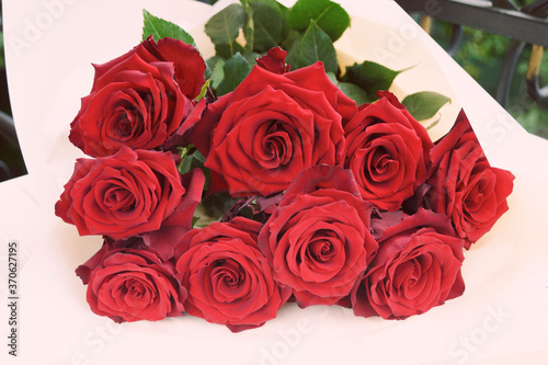 Red large roses on a white background. A bouquet of fresh flowers. A romantic gift.