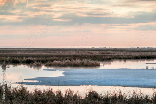 Spring tundra in Barents Sea coastal area  Russia