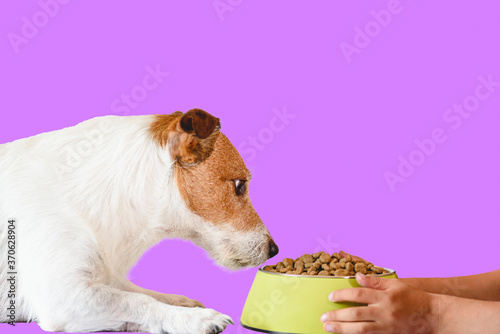Care of pets concept with boy's hands holding bowl of dried dog food photo