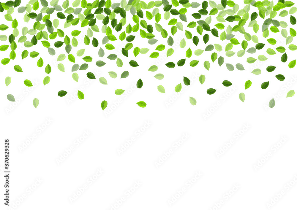 Olive Greens Falling Vector Branch. Spring Leaf Olive Greens Falling Vector Branch. Spring Leaf