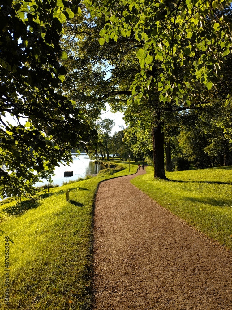 Obraz premium path in the park