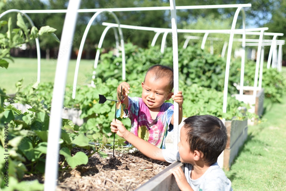 Little brothers playing with pinwheel at community garden Little brothers playing with pinwheel at community garden