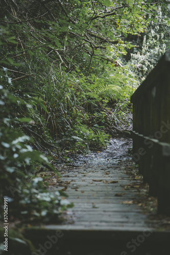 bridge over river