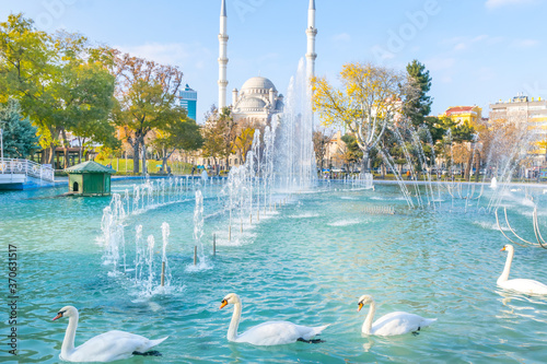 Four hite swans swims in blue lake with fountains and mosque inthe bacground. Travel in Konya.Undiscovered Turkey. photo