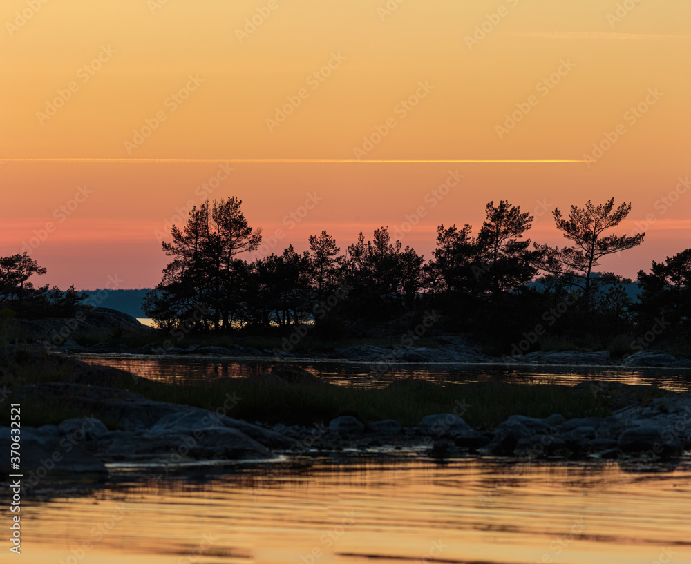 Silhouette of trees by the shore after sunset