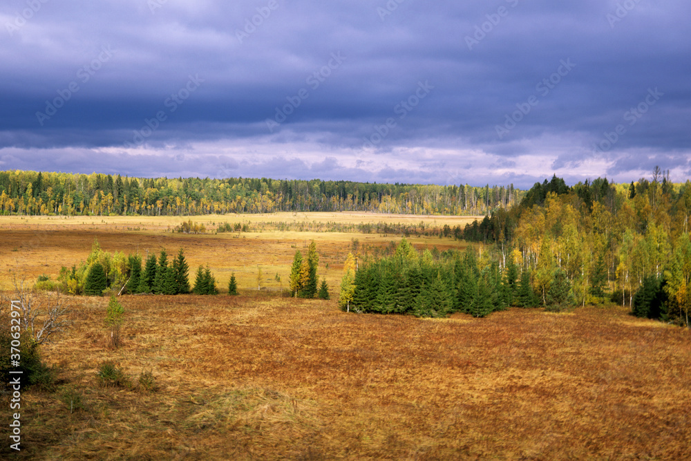 Central Forest reserve. Panorama of the Staroselsky swamp. Tver region.