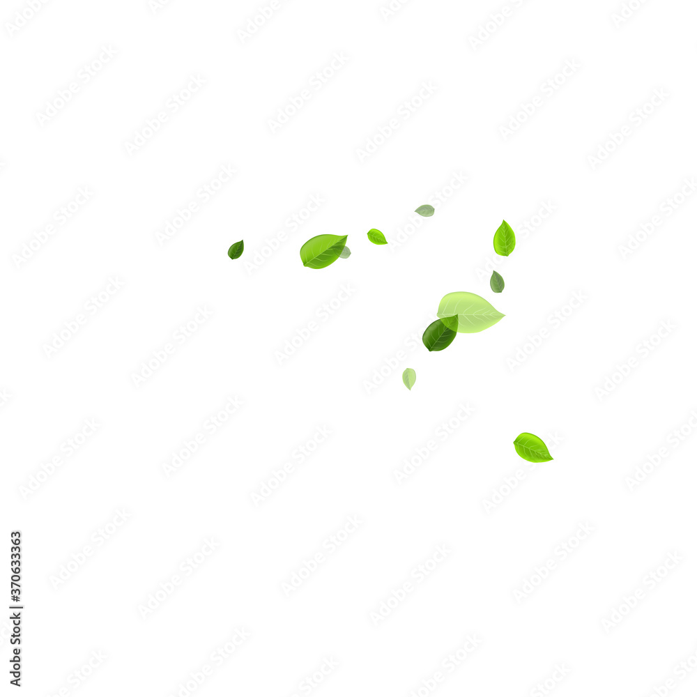 Swamp Leaves Tea Vector Wallpaper. Falling Leaf Swamp Leaves Tea Vector Wallpaper. Falling Leaf