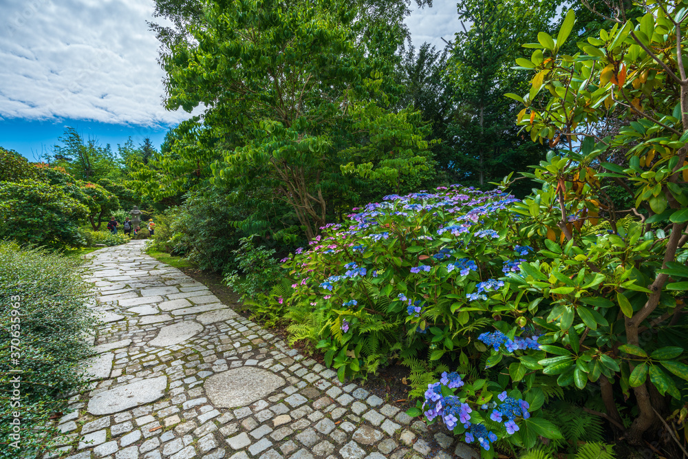 Naklejka premium Wroclaw Poland 05 August 2020; Japanese Garden in the city of Wroclaw, the historic capital of Lower Silesia.