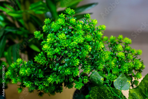 Plastic green leaf decorated mini plant background. Plastic plant. Plastic colorful decorative leaves. © Onuchcha