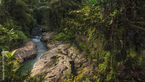 Ubud river among lush tropical forest on Bali  