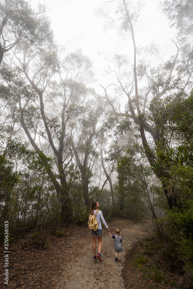 Fototapeta premium Mother and child walking through the misty blue gum forest