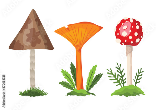 Mushroom and toadstool. Illustration of the different types of mushrooms on a white background. Flat summer forest mushrooms concept on green grass