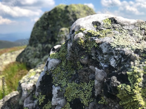 Close-up of detailed mountain rock with quartz crystals and lichen