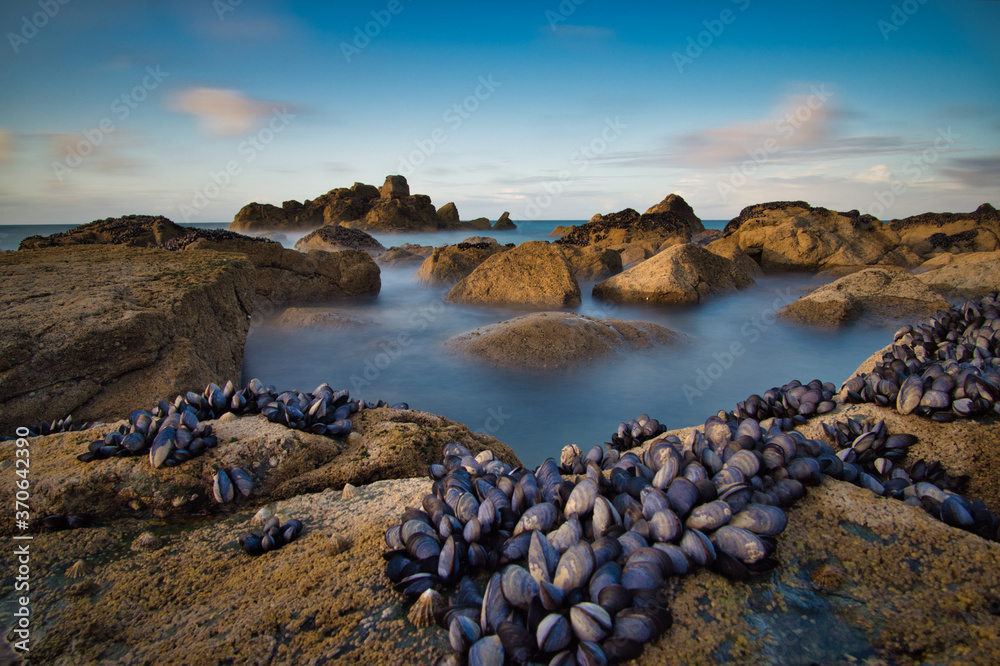 Sunset over the rocks covered in mussels by the sea in Cornwall, United Kingdom