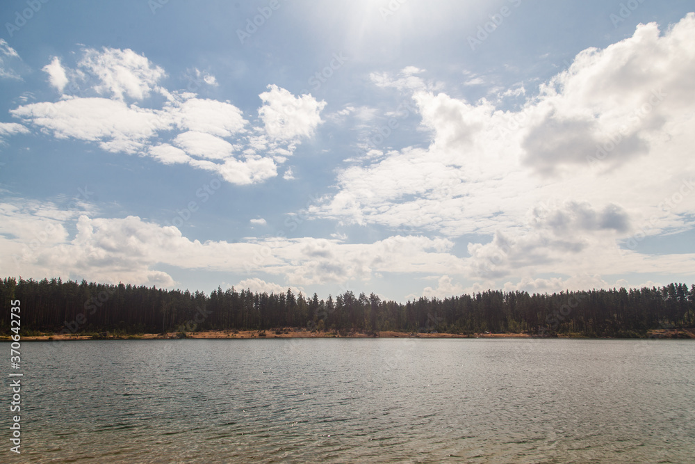 Landscape with lake in pine forest