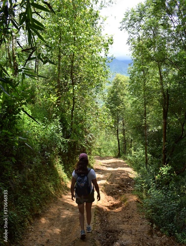 Chica caminando por el bosque, haciendo ejercicio y vida sana