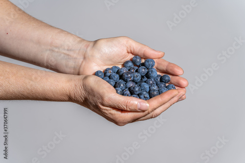 Obraz na płótnie hands with ecological sloes on a sloes background.