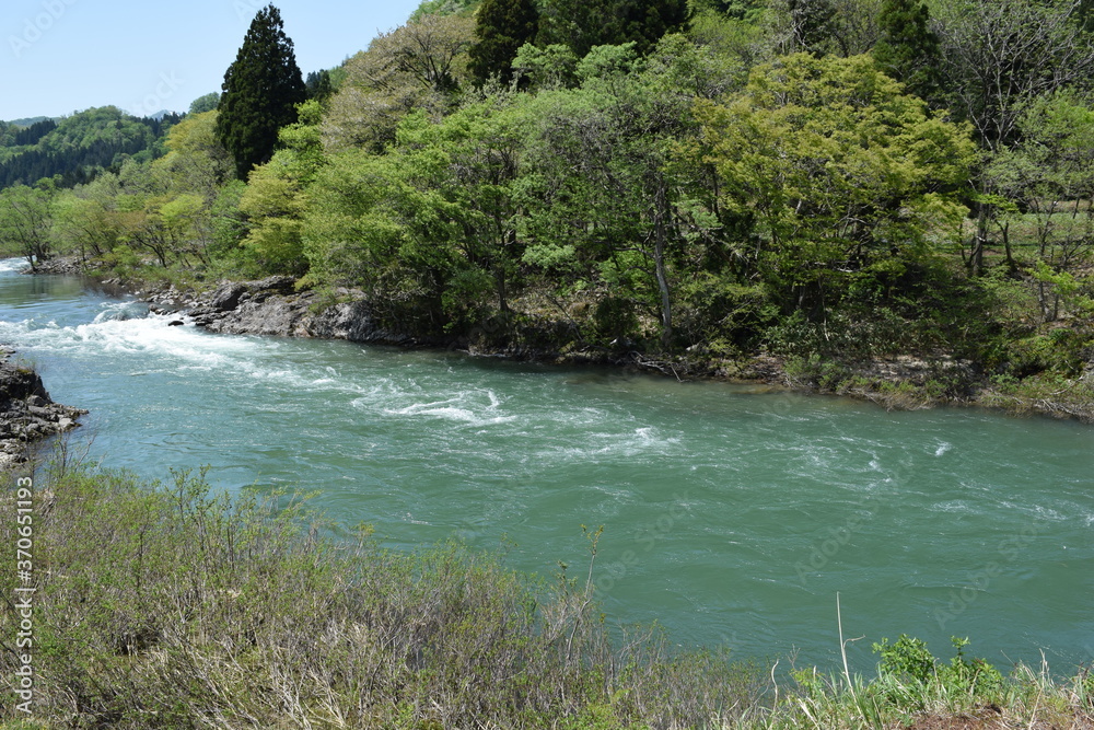 Obraz premium 雪解け水 早春の渓流