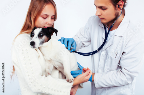 Fototapeta Naklejka Na Ścianę i Meble -  young veterinarian doctor in blue gloves examine little cute dog jack russell isolated on white background with owner blond girl holding it, animal healthcare