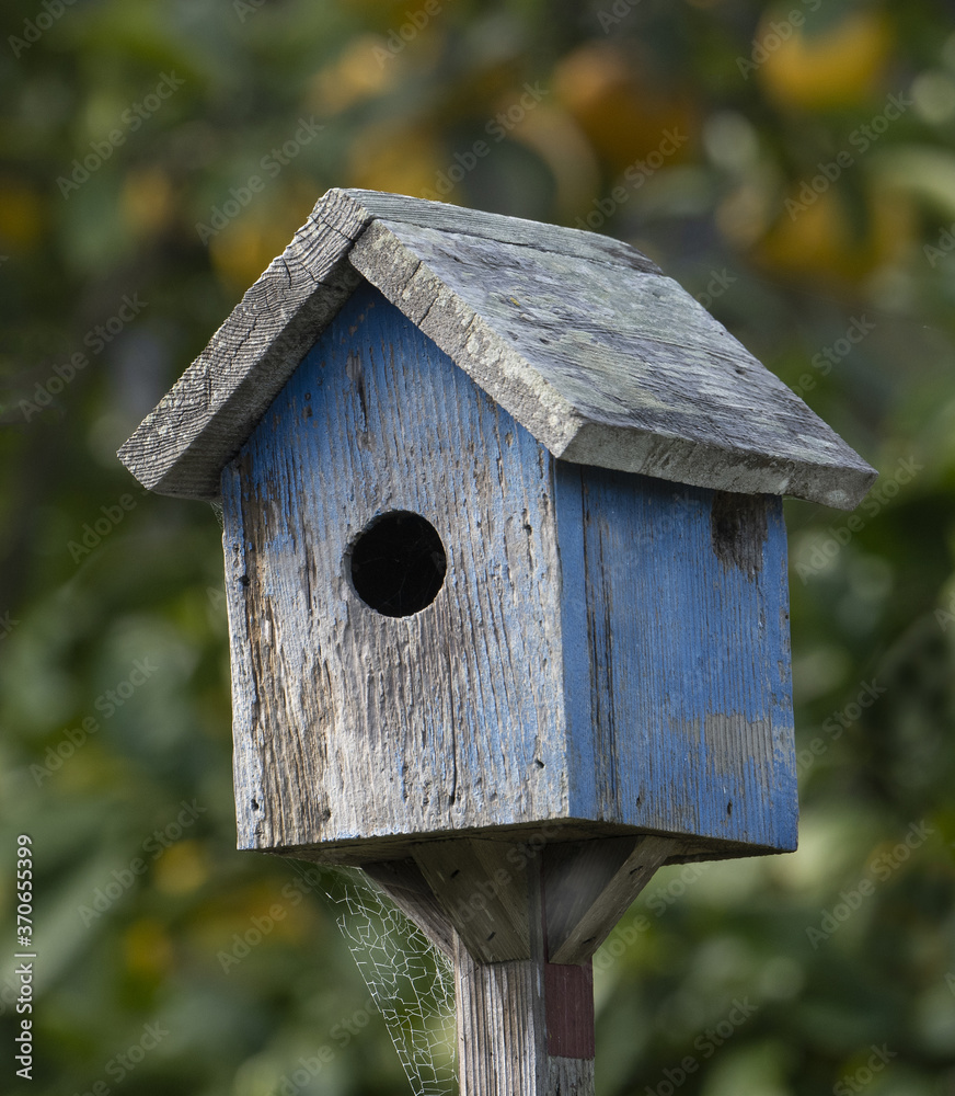 Old rustic blue birdhouse with fruit trees in the background