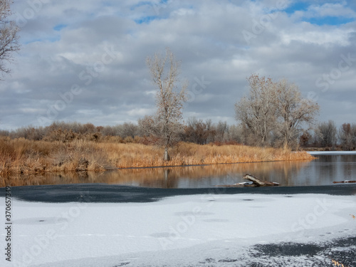 Early Winter at the Lake © Linda Armstrong