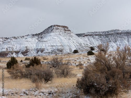 Winter Landscape in the High Desert