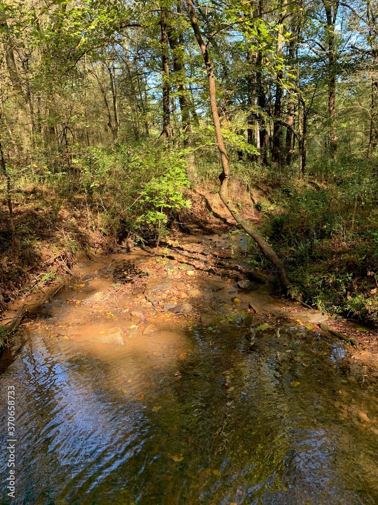 Muddy pond in forest mountain terrain Muddy pond in forest mountain terrain