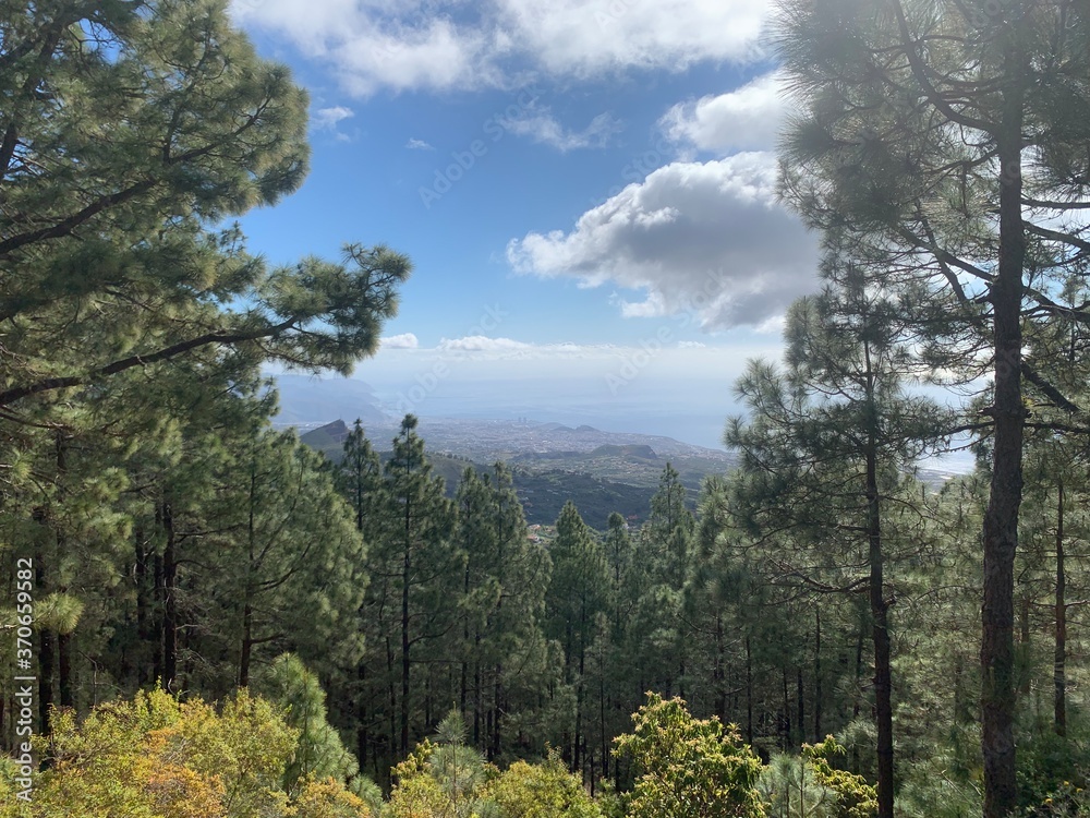 Fototapeta premium Landscape view of full mountain forest under blue skies