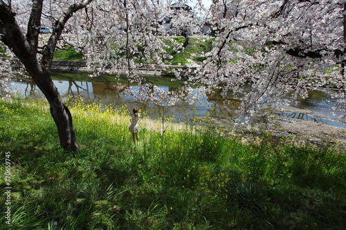川沿いの桜の下で撮影するモデル © saiyan8