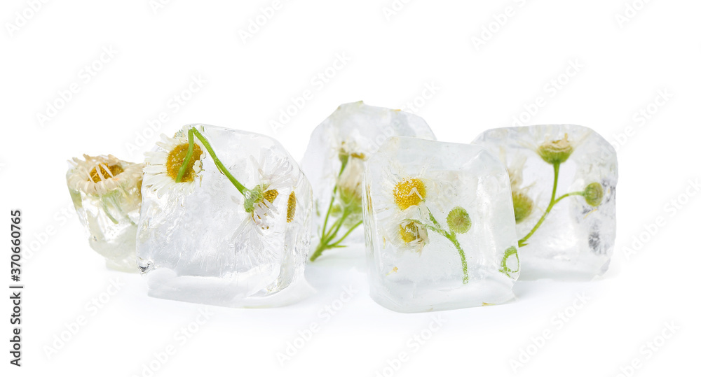 Frozen flowers in ice on white background Frozen flowers in ice on white background