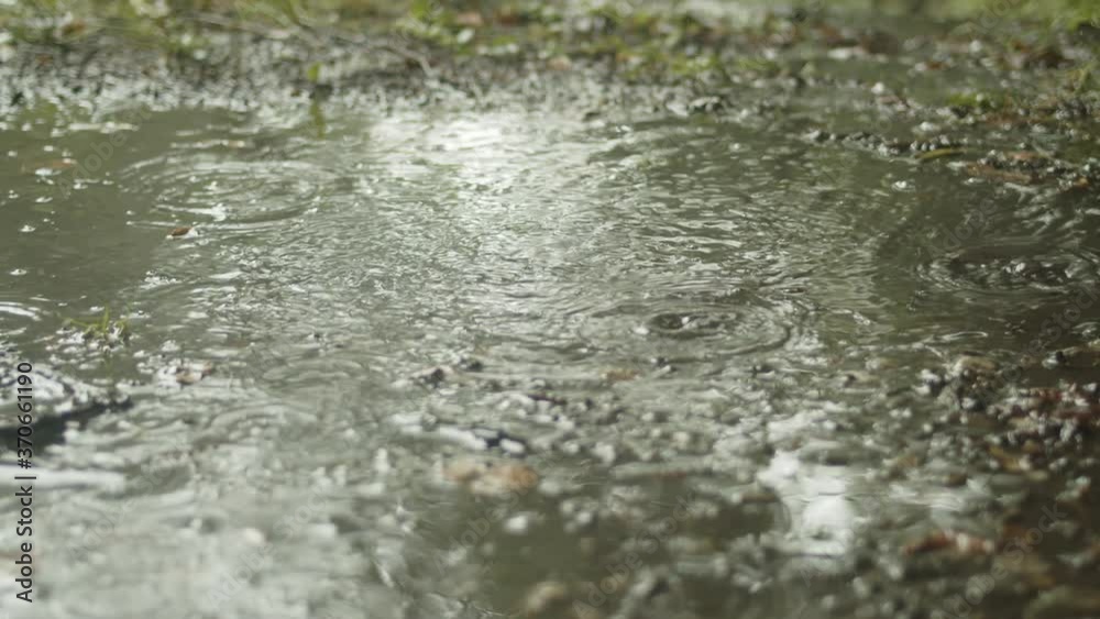 Hiker splashes through puddle in rain, close-up, slow motion Hiker splashes through puddle in rain, close-up, slow motion