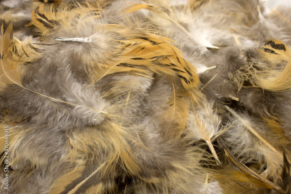 Craft Feathers background Craft Feathers background