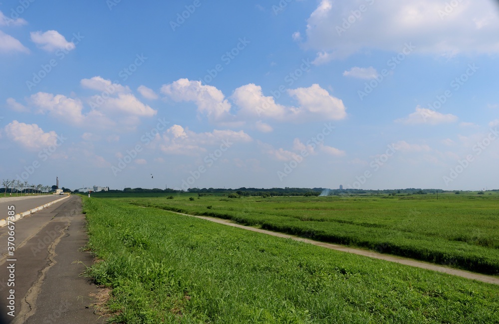 道 空 爽やか 渡良瀬 風景 栃木 春 道 空 爽やか 渡良瀬 風景 栃木 春