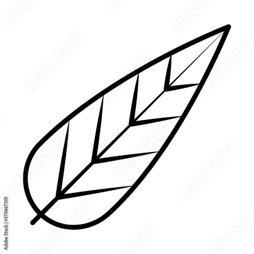 decorative feather icon, line style