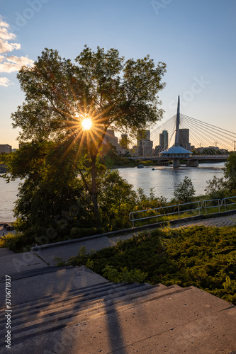 Winnipeg, Manitoba - The sun's rays hitting a tree during golden hour with the Esplanade Riel footbridge and the Red River in the background photo