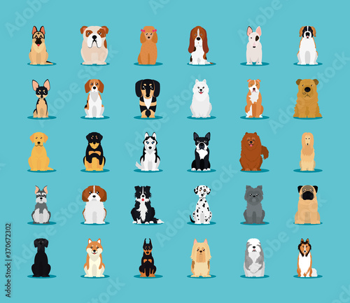 icon set of dogs breeds, flat style