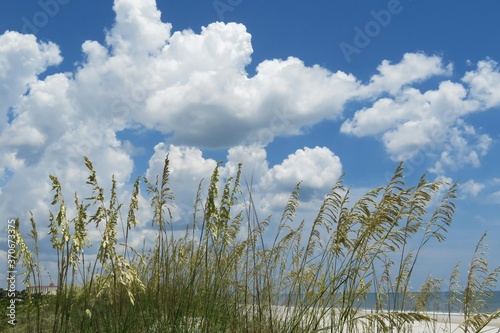 Beautiful view of the dunes and sky at Florida beach