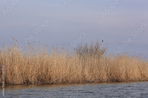 Beautiful landscape in the Volga Delta. Astrakhan Region. Russia