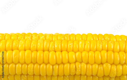 yellow sweet corn, peeled cob on white background, close-up, blur