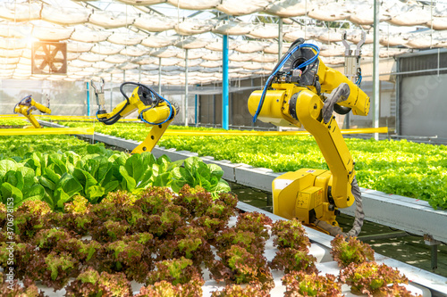 Futuristic robotic arm for agriculture.smart farm automation robot assistant with hydroponic technology.